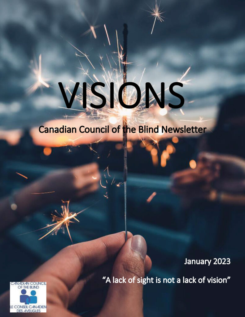 Cover of the VISIONS newsletter featuring a person holding a sparkler.